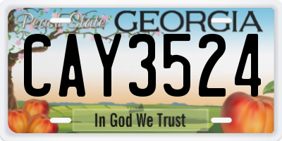 GA license plate CAY3524