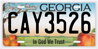 GA license plate CAY3526