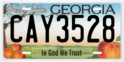 GA license plate CAY3528