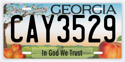 GA license plate CAY3529