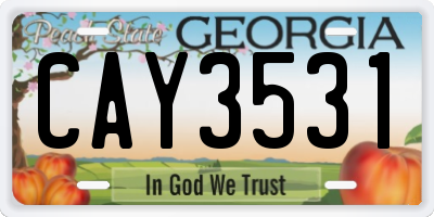 GA license plate CAY3531