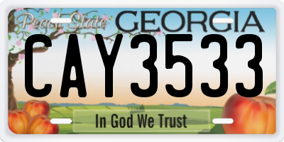 GA license plate CAY3533