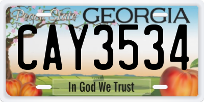 GA license plate CAY3534