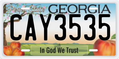 GA license plate CAY3535