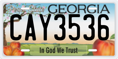 GA license plate CAY3536