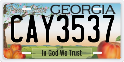 GA license plate CAY3537