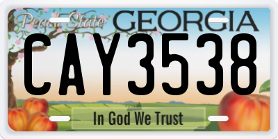 GA license plate CAY3538