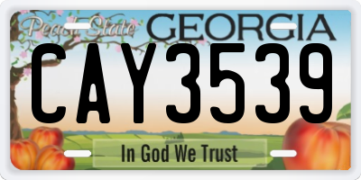 GA license plate CAY3539