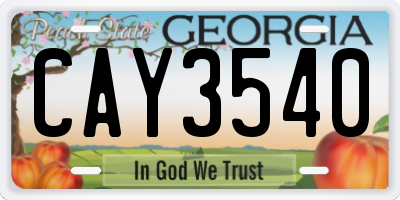 GA license plate CAY3540