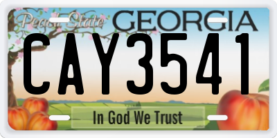 GA license plate CAY3541