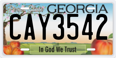 GA license plate CAY3542
