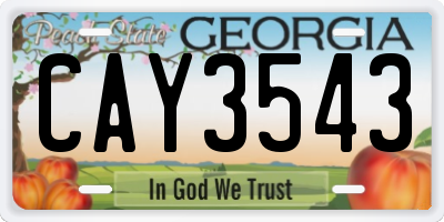 GA license plate CAY3543