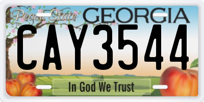 GA license plate CAY3544
