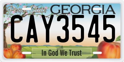 GA license plate CAY3545