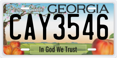 GA license plate CAY3546