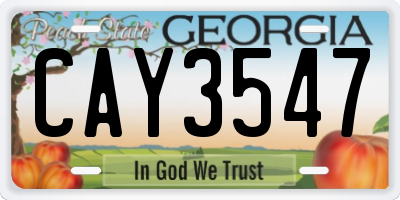 GA license plate CAY3547