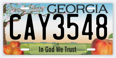 GA license plate CAY3548