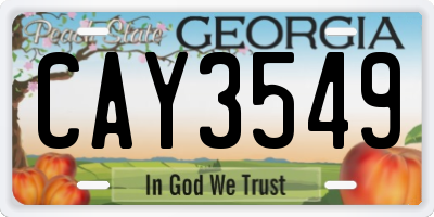 GA license plate CAY3549