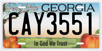 GA license plate CAY3551