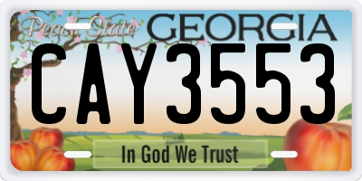 GA license plate CAY3553