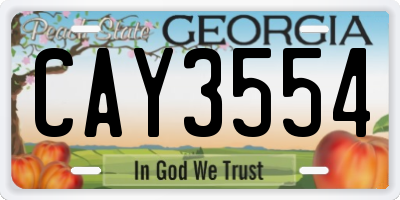 GA license plate CAY3554