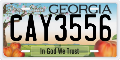 GA license plate CAY3556