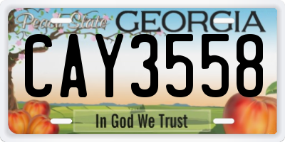 GA license plate CAY3558