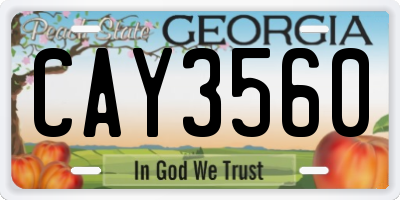 GA license plate CAY3560