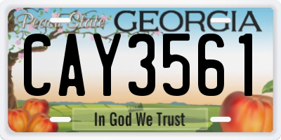 GA license plate CAY3561