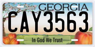 GA license plate CAY3563
