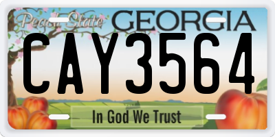 GA license plate CAY3564