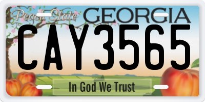 GA license plate CAY3565