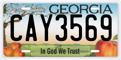 GA license plate CAY3569
