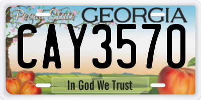 GA license plate CAY3570