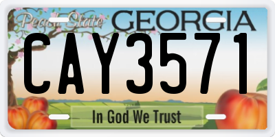 GA license plate CAY3571