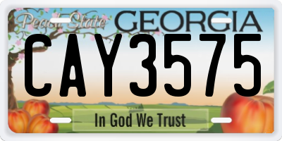 GA license plate CAY3575