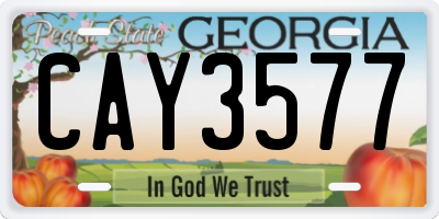 GA license plate CAY3577