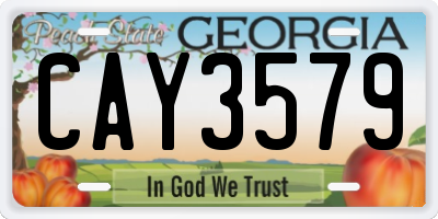 GA license plate CAY3579