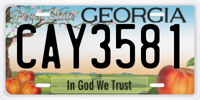 GA license plate CAY3581