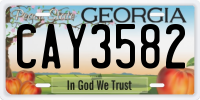 GA license plate CAY3582