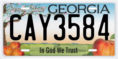 GA license plate CAY3584