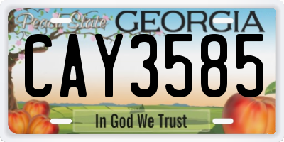 GA license plate CAY3585