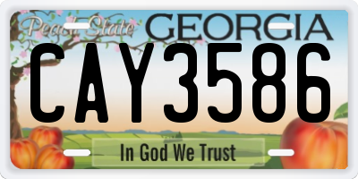 GA license plate CAY3586