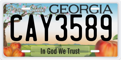 GA license plate CAY3589