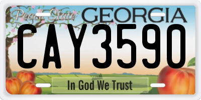 GA license plate CAY3590