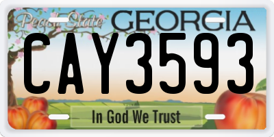 GA license plate CAY3593
