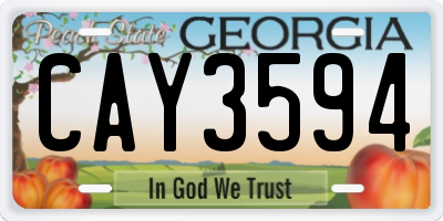 GA license plate CAY3594