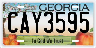 GA license plate CAY3595