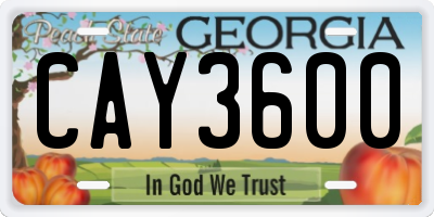 GA license plate CAY3600