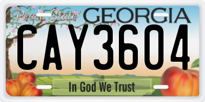 GA license plate CAY3604
